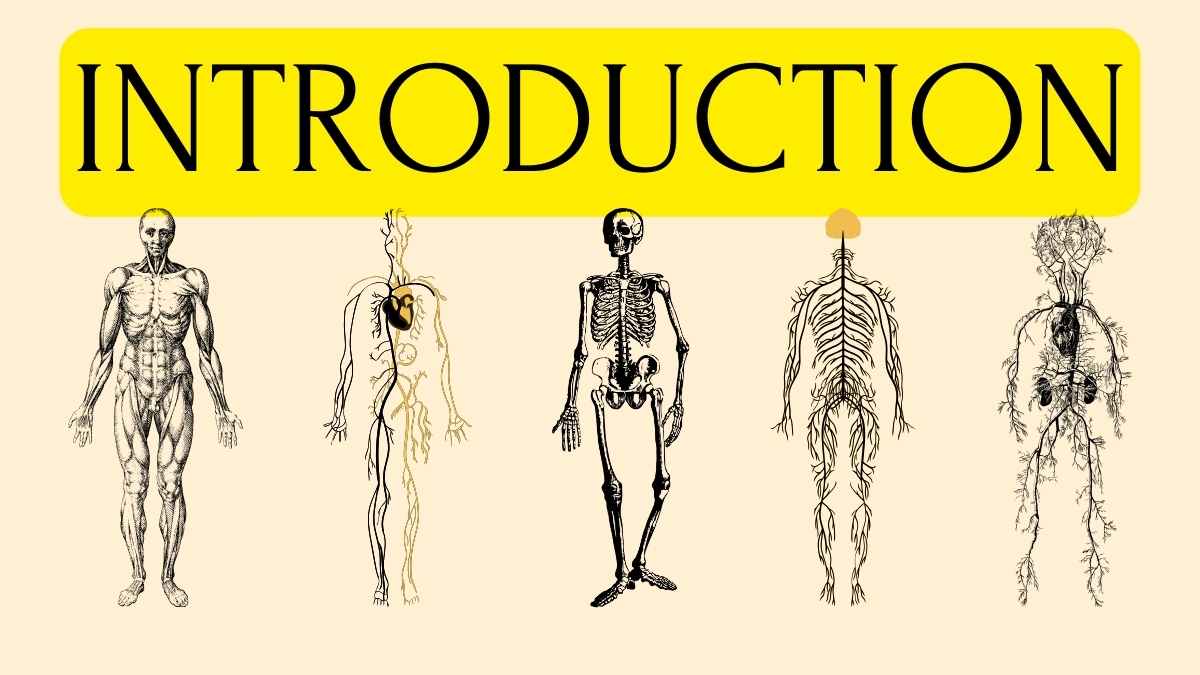 Human Body Systems Yellow Lesson Slides - slide 4