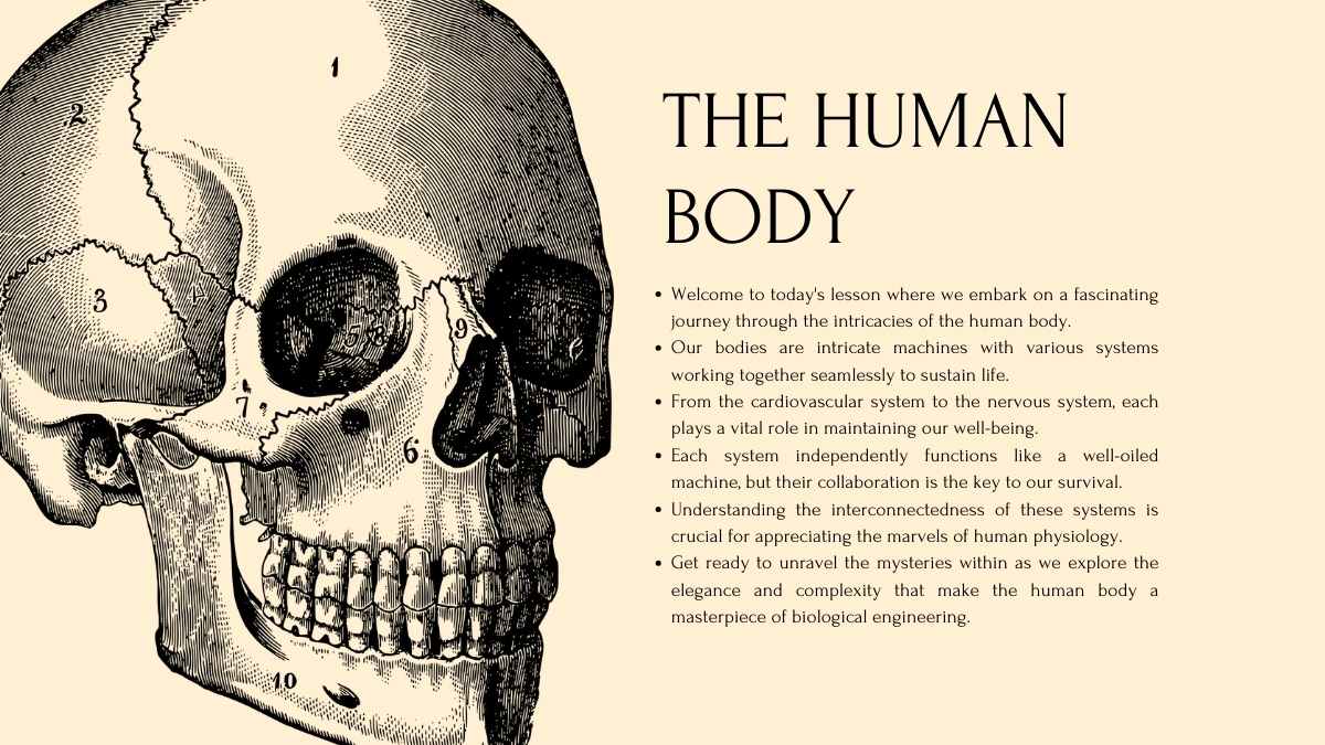 Sistemas do Corpo Humano – Slides de Aula Amarelos - deslizar 5