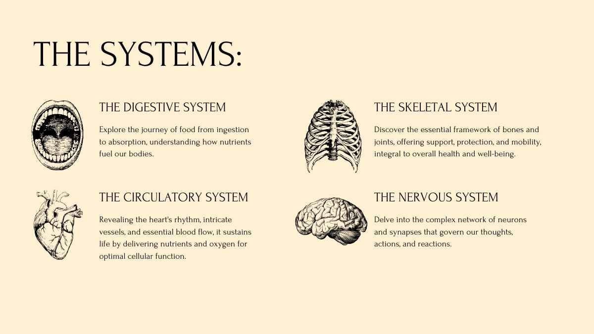 Plantillas Amarillas para Lecciones sobre los Sistemas del Cuerpo Humano - diapositiva 6