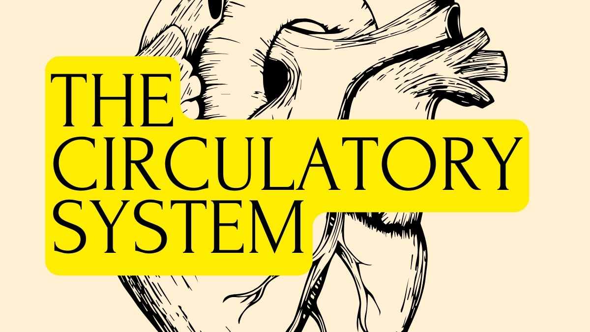 Human Body Systems Yellow Lesson Slides - slide 9