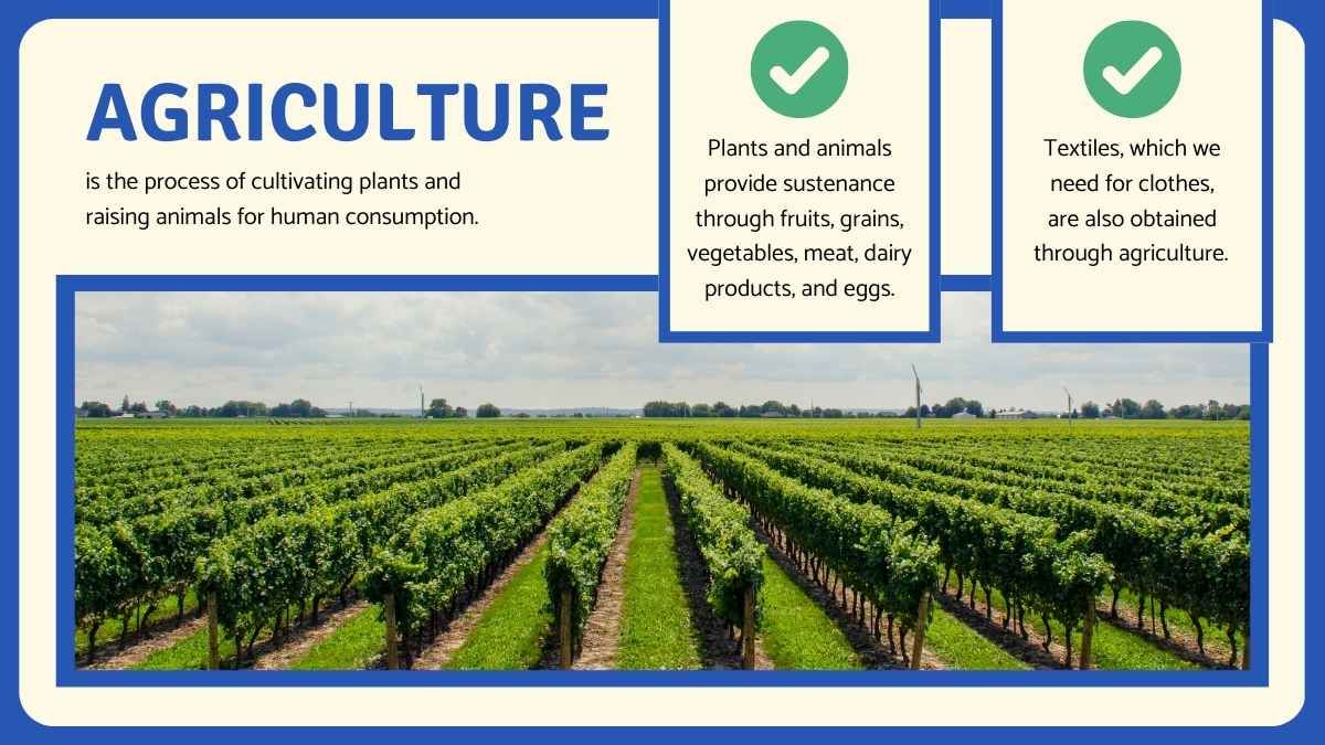 Human Impact on the Environment Science Lesson for High School - diapositiva 5