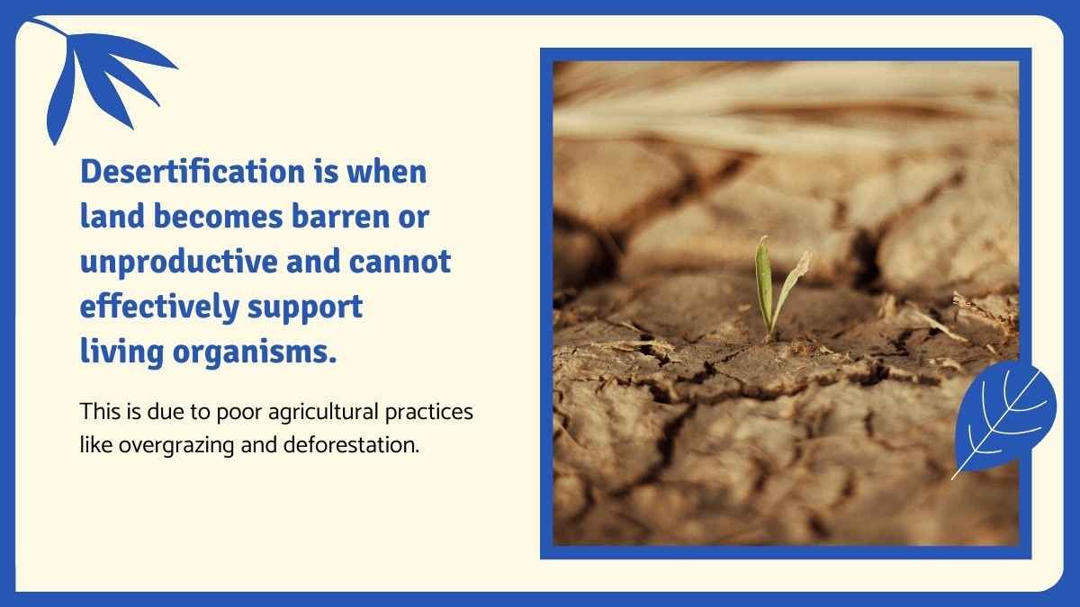 Human Impact on the Environment Science Lesson for High School - slide 8