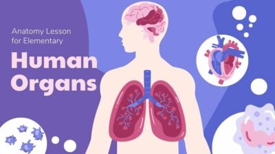 Slide Pembelajaran Anatomi Tubuh Manusia dengan Ilustrasi Organ