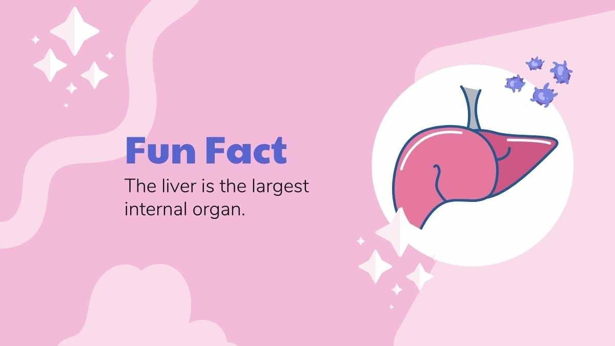 Illustrated Anatomy Lesson Human Organs Slides - slide 12