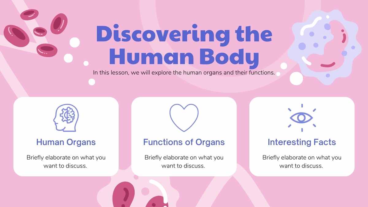 Aula Ilustrada de Anatomia Slides de Órgãos Humanos - deslizar 5