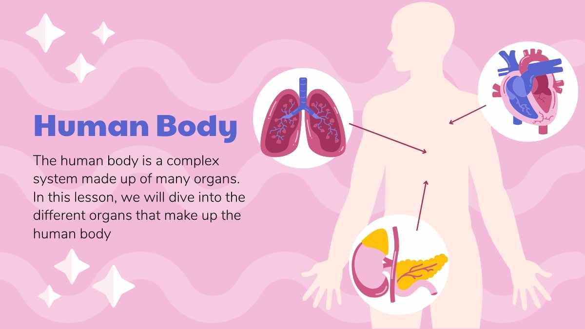 Slide Pembelajaran Anatomi Tubuh Manusia dengan Ilustrasi Organ - slide 6