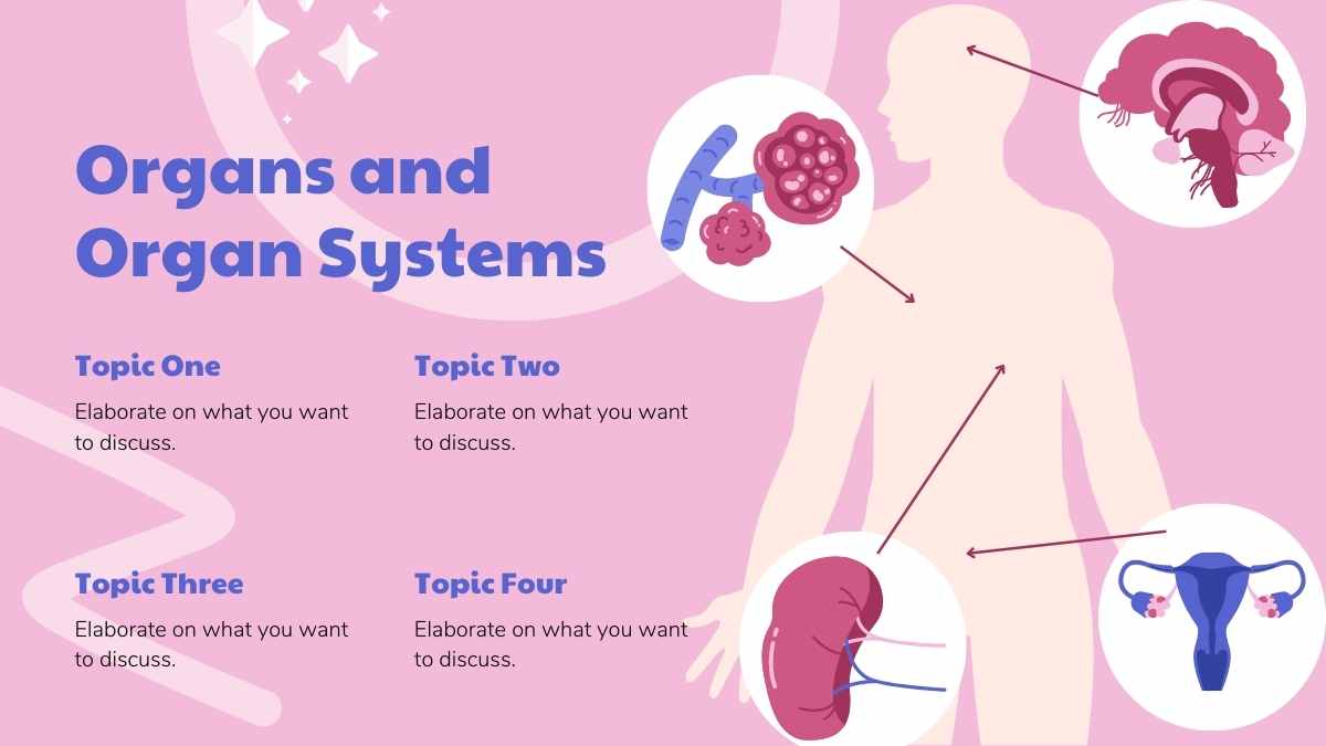 Slide Pembelajaran Anatomi Tubuh Manusia dengan Ilustrasi Organ - slide 7