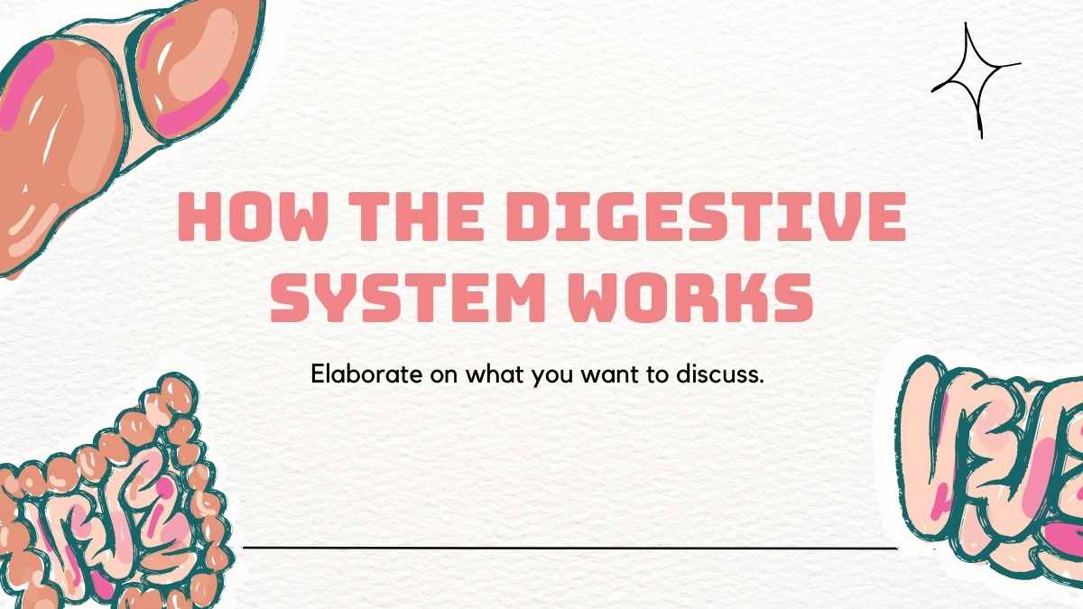 Plantillas Ilustradas del Sistema Digestivo para Biología - diapositiva 11