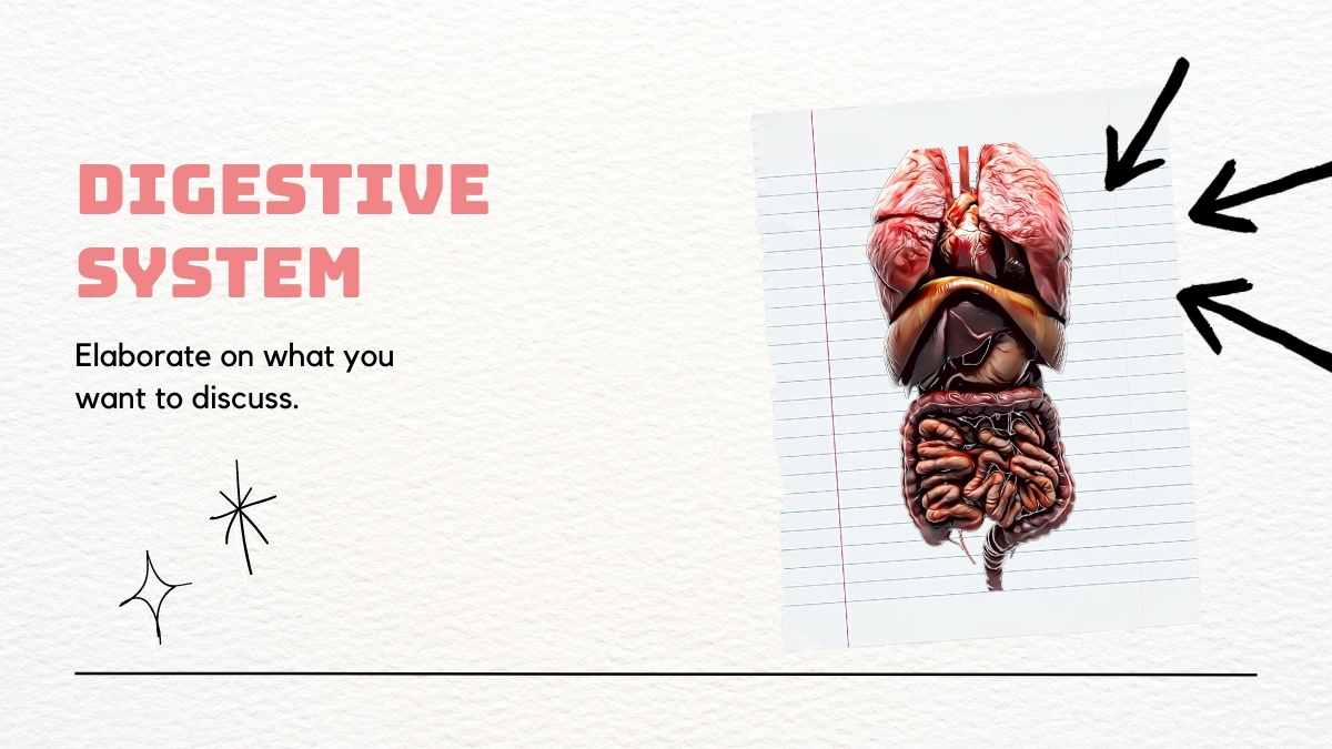 Illustrated Biology Digestive System Slides - slide 6