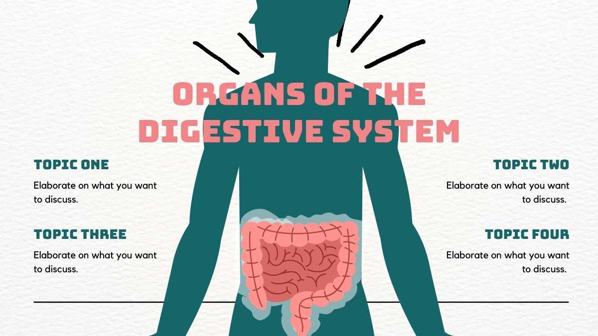 Slides Ilustrados do Sistema Digestivo em Biologia - deslizar 7