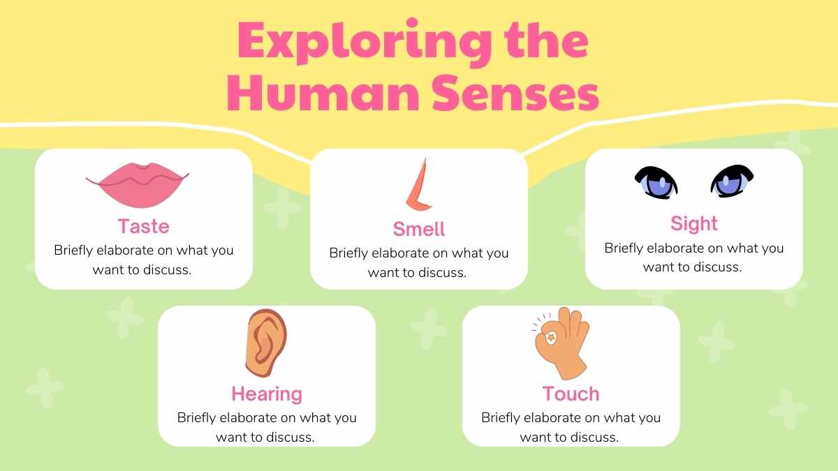 Illustrated Biology Five Senses Slides - slide 4