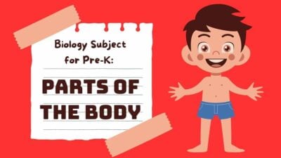 Illustrated Parts of The Body Red Slides