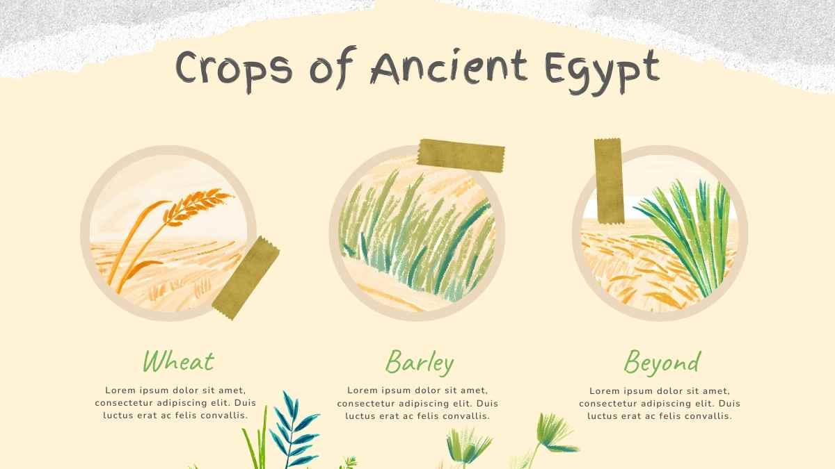 Illustrated Farming In Ancient Egypt Slides - slide 8