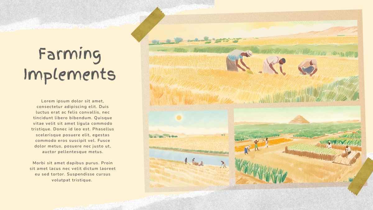 Illustrated Farming In Ancient Egypt Slides - slide 9