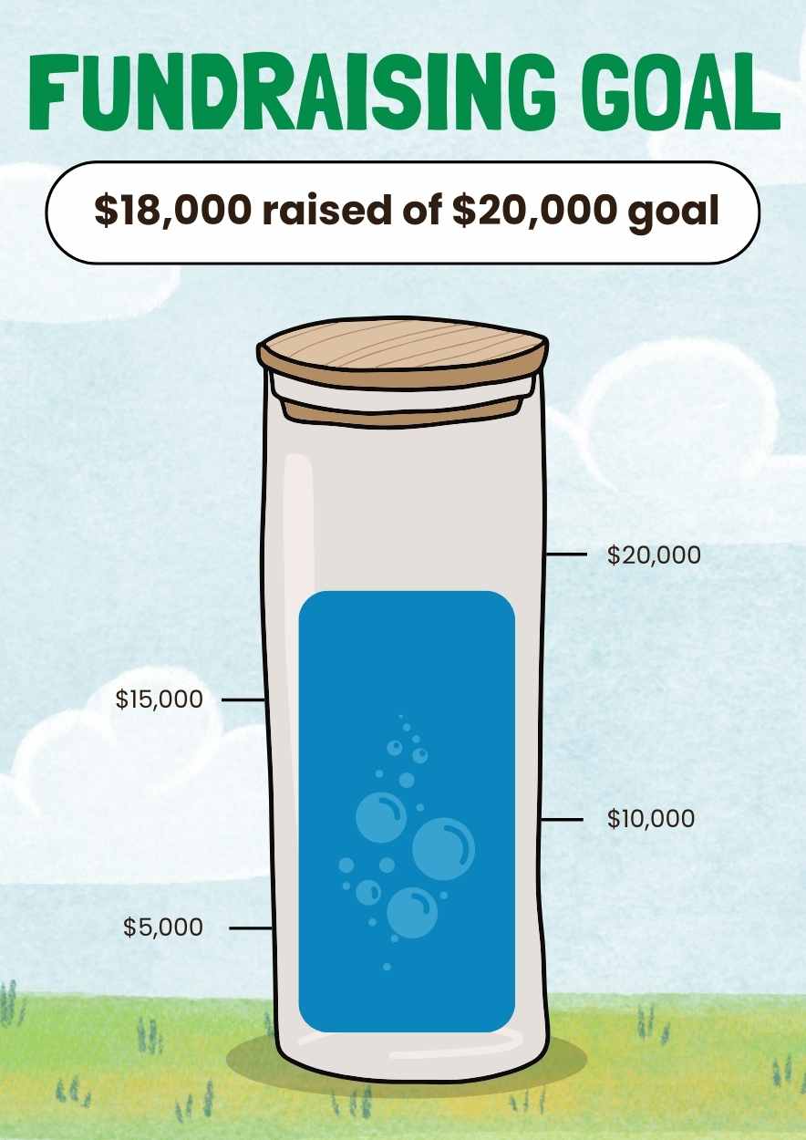 Illustrated Fundraising Goal Tracker Infographic - slide 2