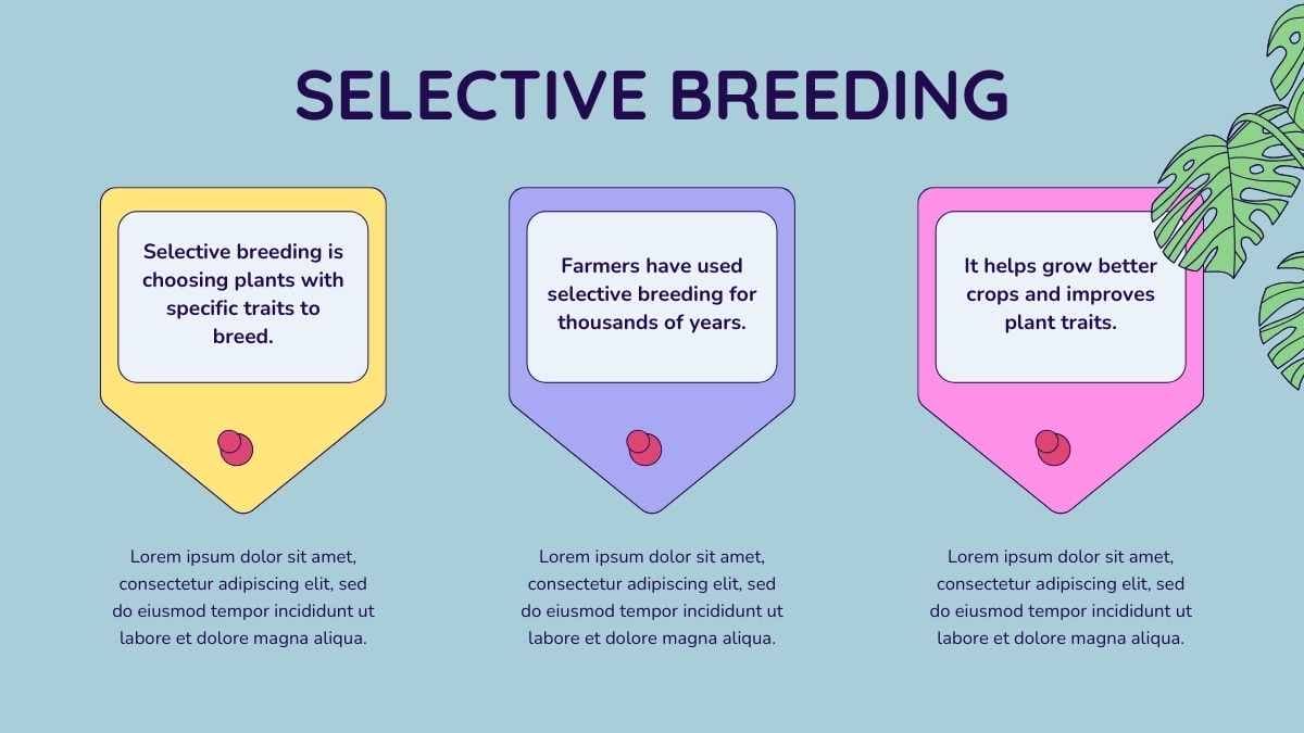 Illustrated Genetics And Plant Breeding Slides - slide 11