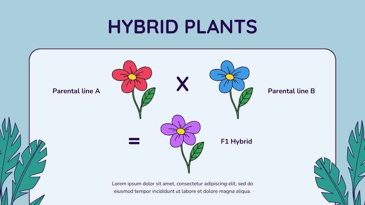 Illustrated Genetics And Plant Breeding Slides - slide 12