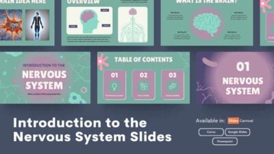 Slides Carnival Google Slides and PowerPoint Template Illustrated Introduction to the Nervous System Slides 1