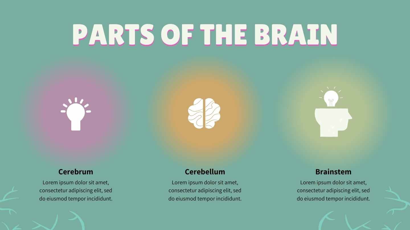 Illustrated Introduction to the Nervous System Slides - slide 10