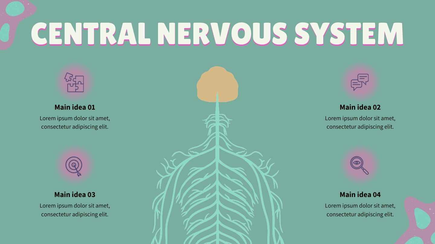 Illustrated Introduction to the Nervous System Slides - slide 15