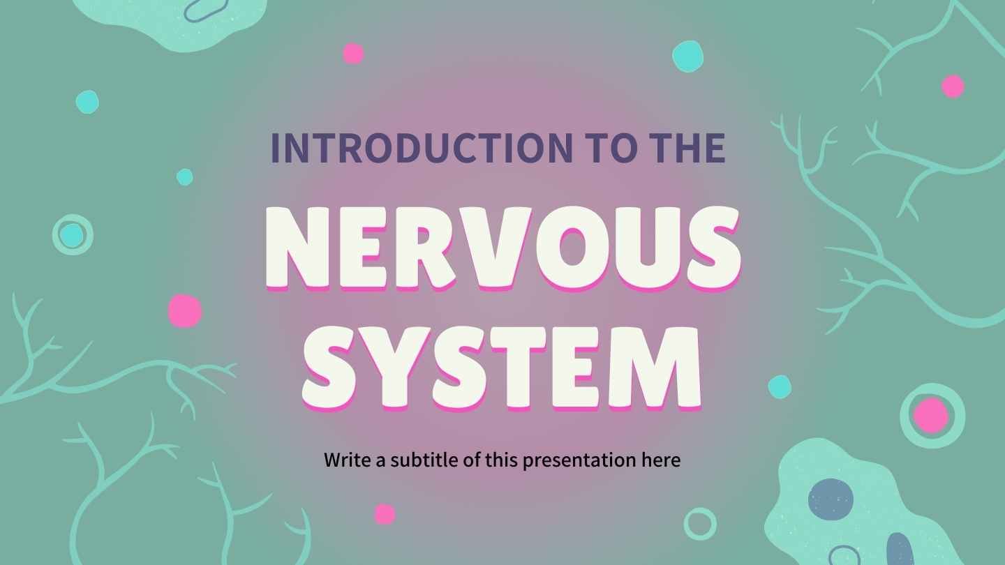 Illustrated Introduction to the Nervous System Slides - slide 2