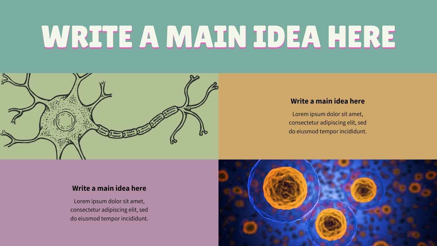 Illustrated Introduction to the Nervous System Slides - slide 7