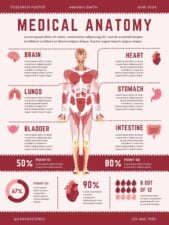 Illustrated Medical Anatomy Research Poster