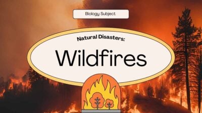 Illustrated Natural Disasters: Wildfires