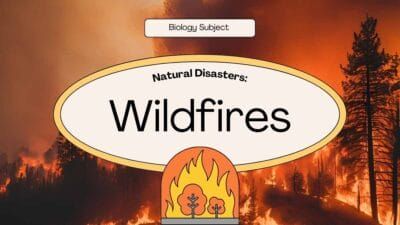 Slides Carnival Google Slides and PowerPoint Template Illustrated Natural Disasters: Wildfires 1