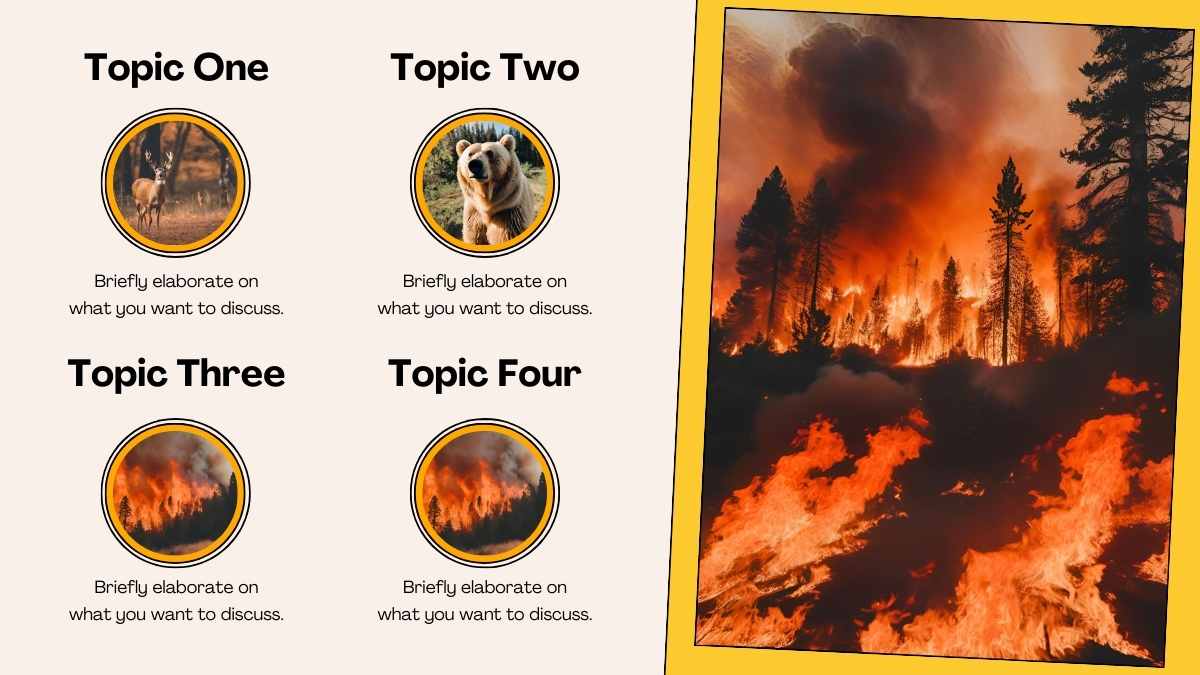 Illustrated Natural Disasters: Wildfires - slide 11