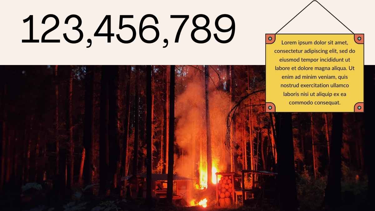 Illustrated Natural Disasters: Wildfires - slide 14