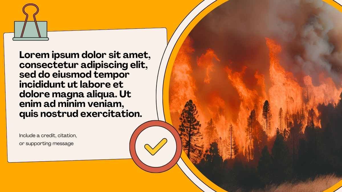 Illustrated Natural Disasters: Wildfires - slide 5