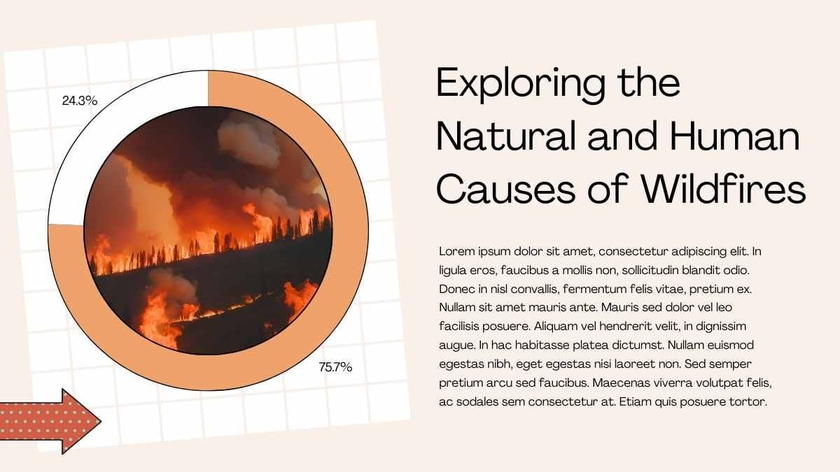 Illustrated Natural Disasters: Wildfires - slide 6