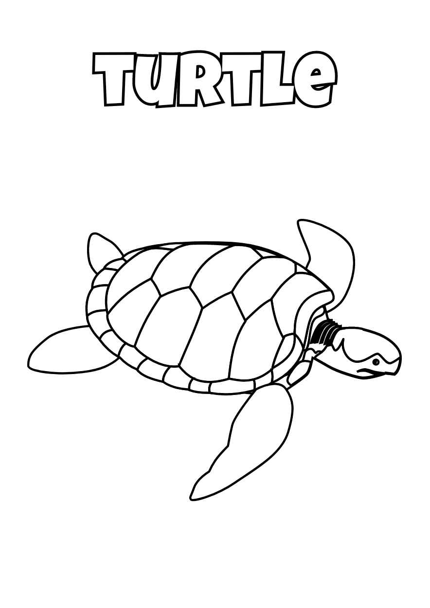 Illustrated Oceans Life Animals Coloring Worksheet - slide 4