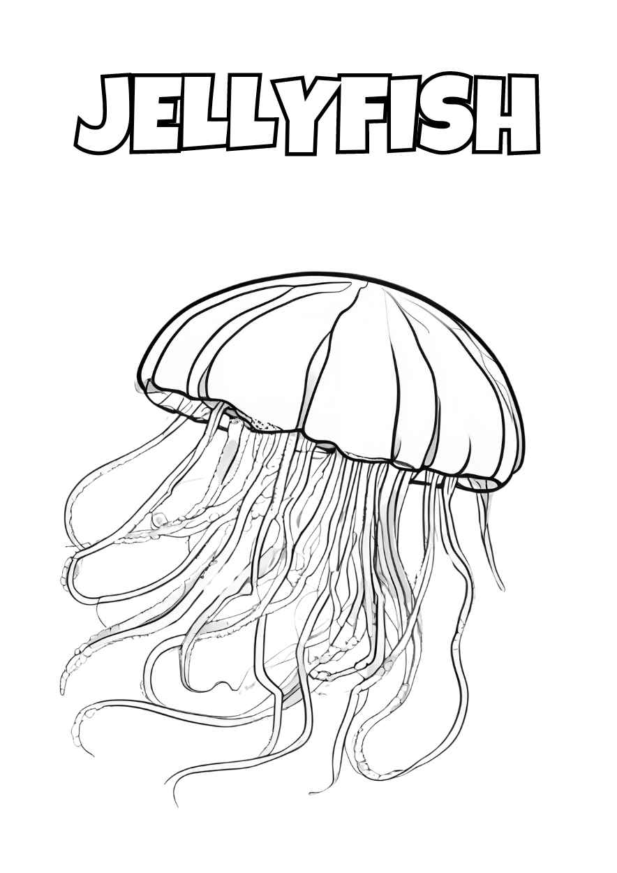 Illustrated Oceans Life Animals Coloring Worksheet - slide 5