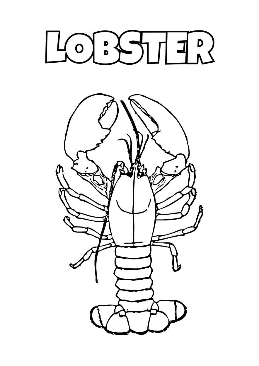 Illustrated Oceans Life Animals Coloring Worksheet - slide 8