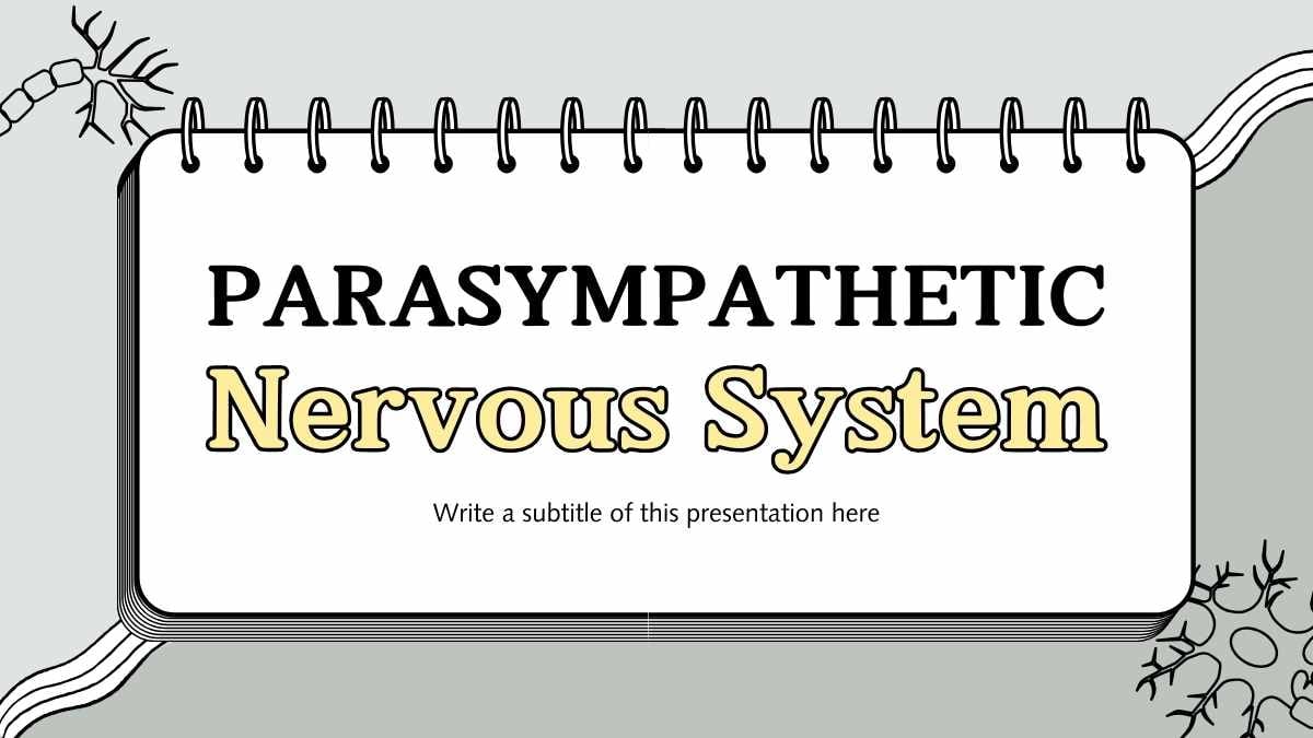 Illustrated Parasympathetic Nervous System Slides - slide 1