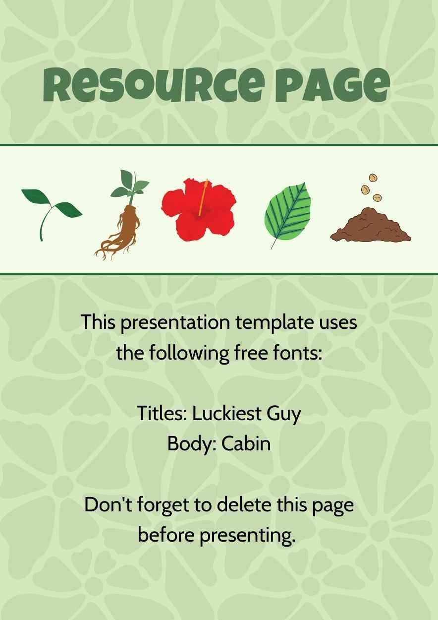 Illustrated Parts of the Plant Matching Type Worksheet Slides - slide 2