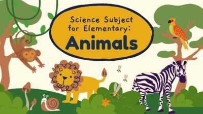 Lindos Slides Ilustrados de Animais para Aulas de Ciências