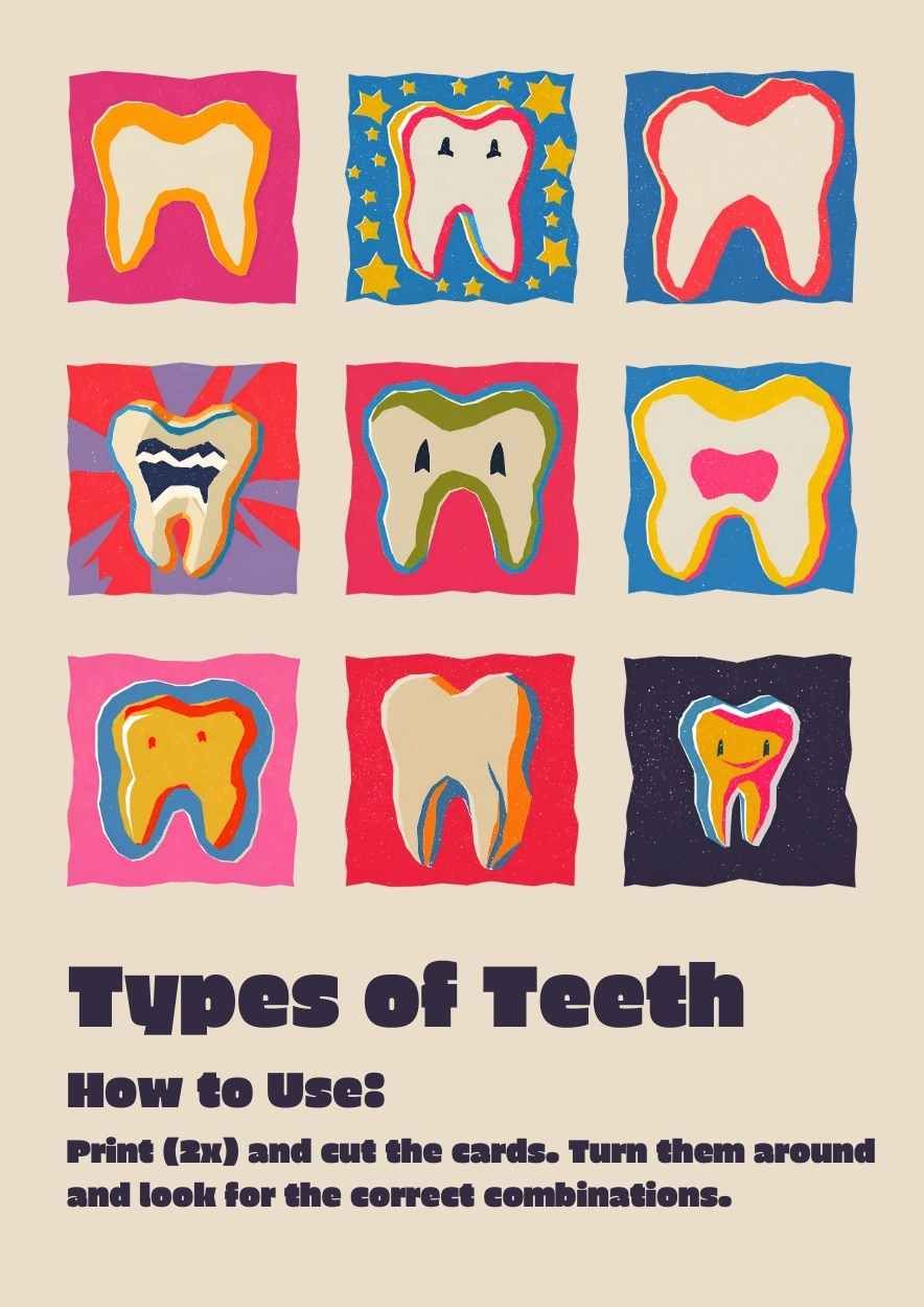 Illustrated Teeth Memory Game Worksheet - diapositiva 1