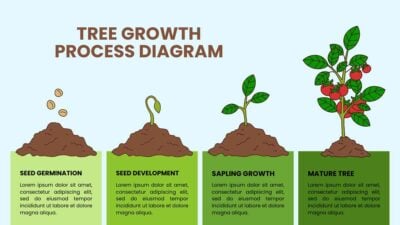 Illustrated Tree Growth Process Diagram