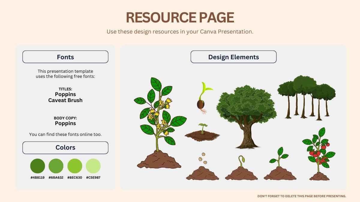 Illustrated Tree Growth Process Diagram - slide 5