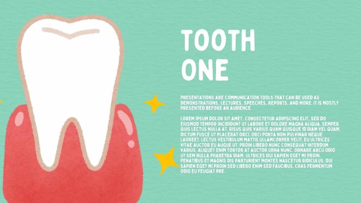 Illustrated Types Of Teeth And Their Functions Slides - slide 14