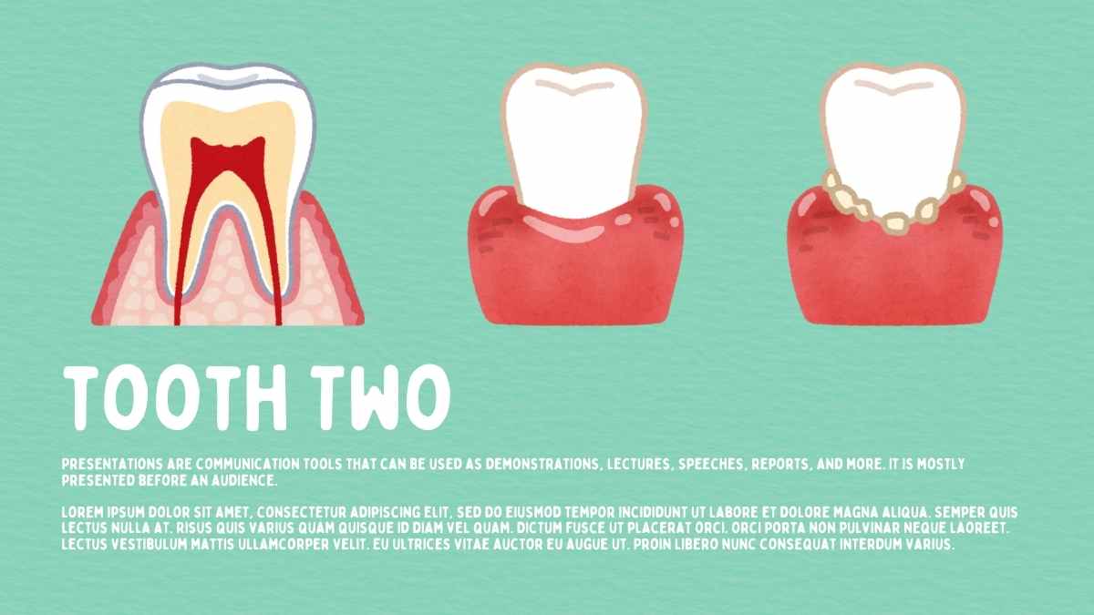 Illustrated Types Of Teeth And Their Functions Slides - slide 15