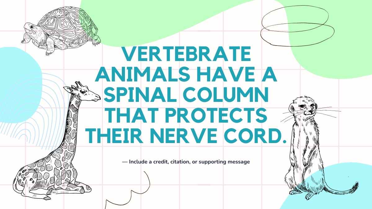 Vertebrate And Invertebrate Animals White Slides - slide 10