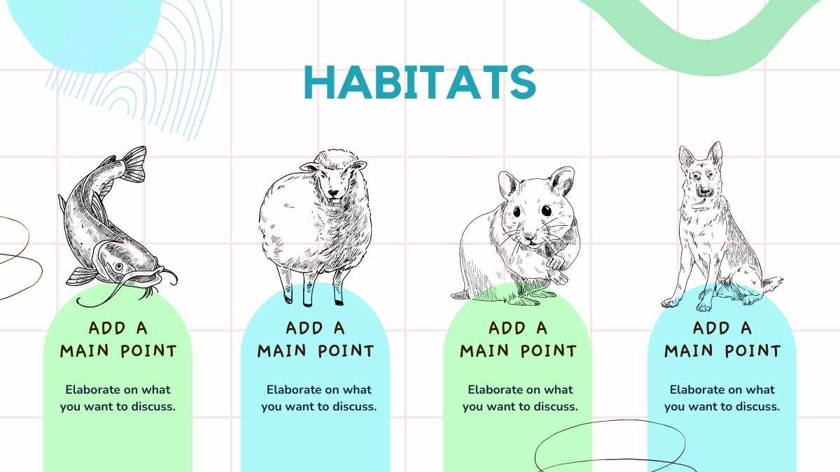 Vertebrate And Invertebrate Animals White Slides - slide 15