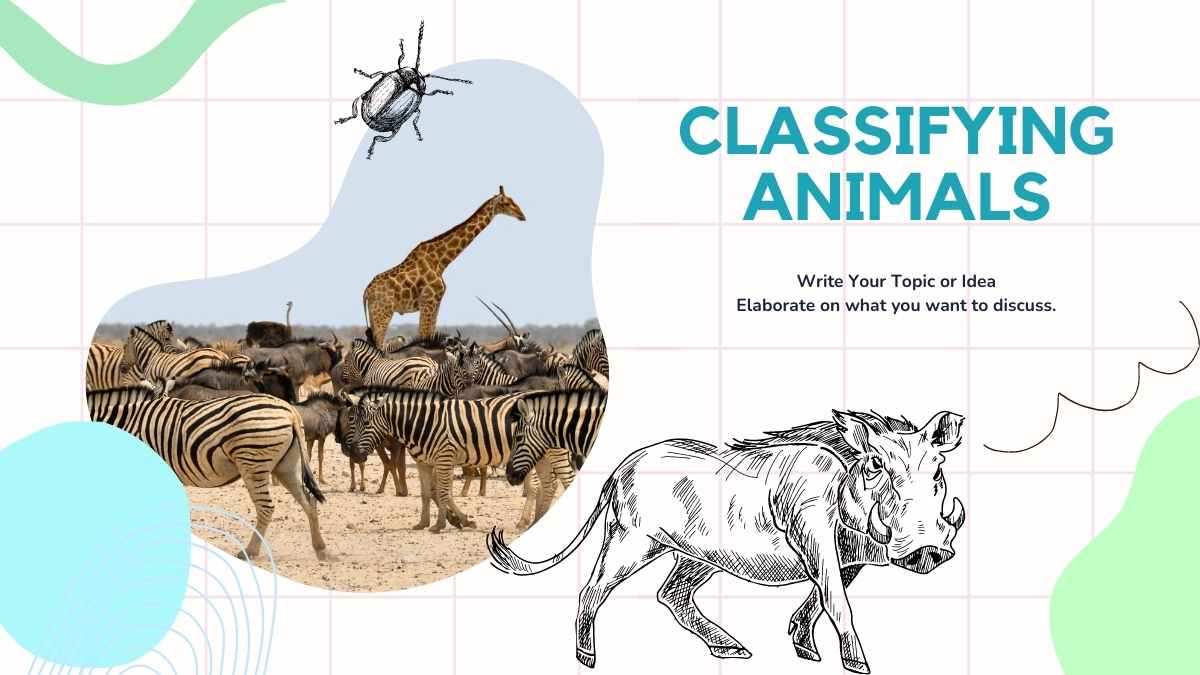 Vertebrate And Invertebrate Animals White Slides - slide 7