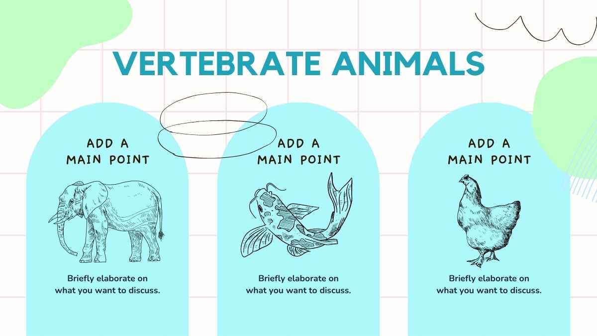 Vertebrate And Invertebrate Animals White Slides - slide 9