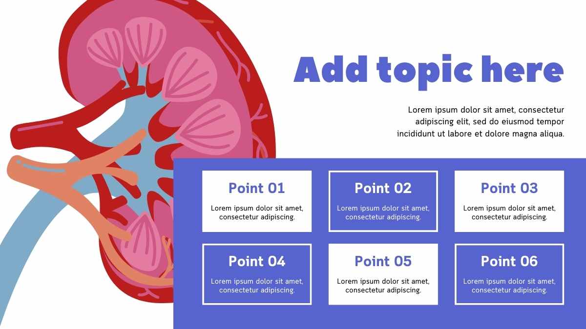 Illustrated World Kidney Day Slides - slide 6