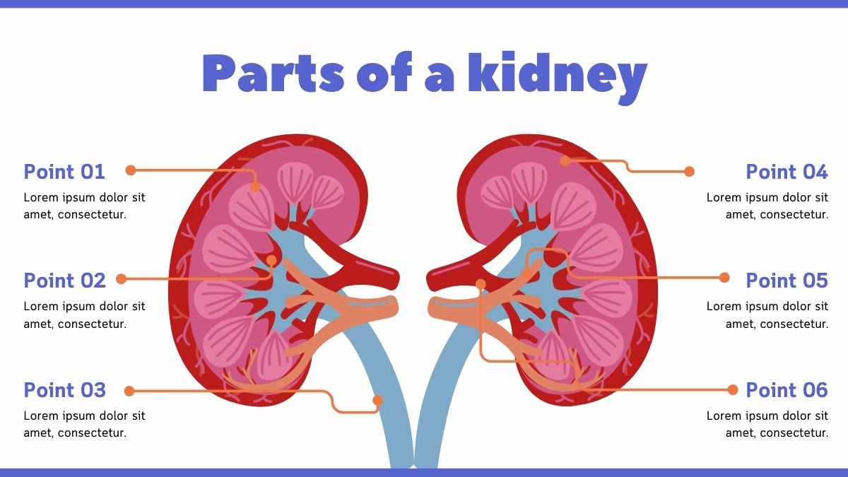 Illustrated World Kidney Day Slides - slide 7